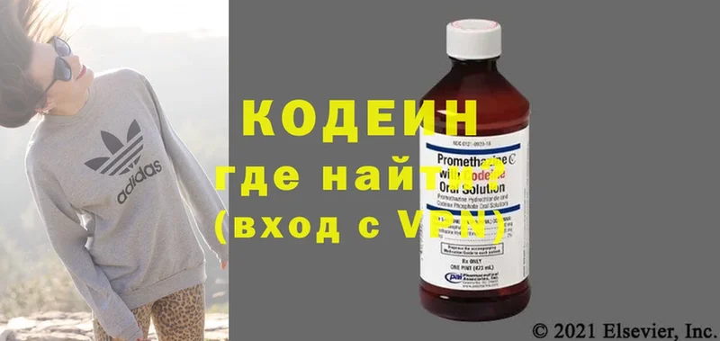 что такое   Саки  Кодеин напиток Lean (лин) 